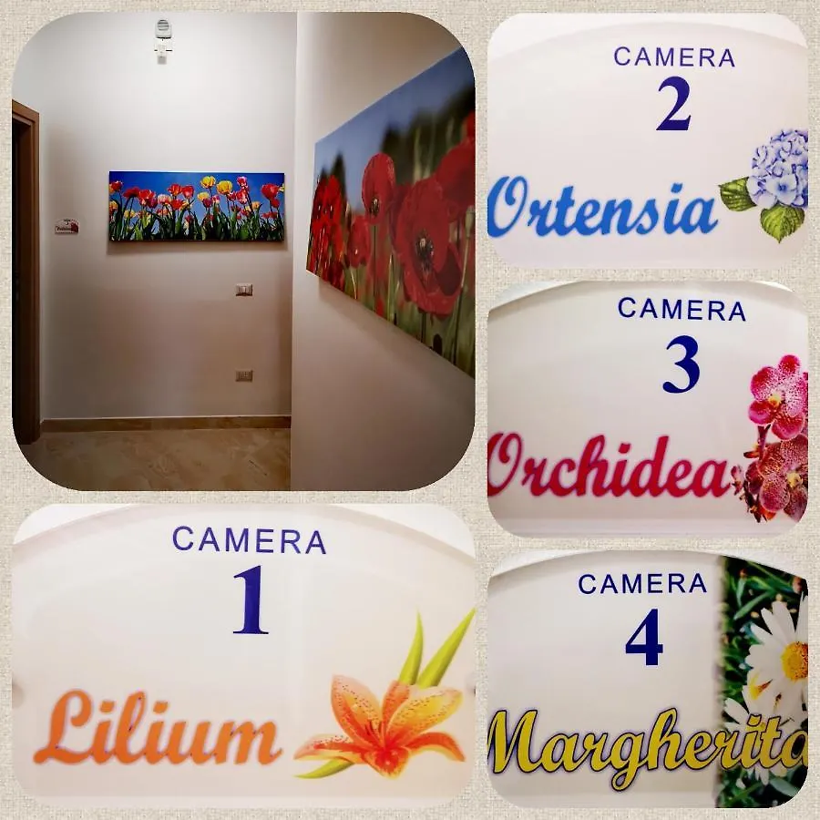 Guest house Fiori E Colori Hotel Mazara del Vallo
